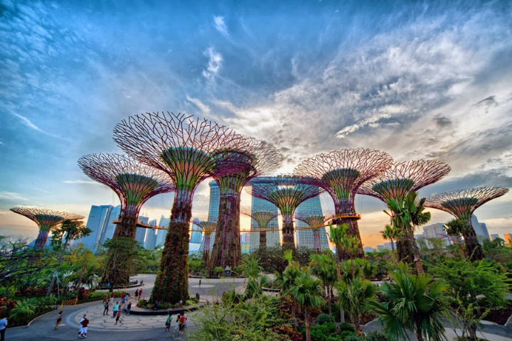 Парк Сады у залива Сингапур